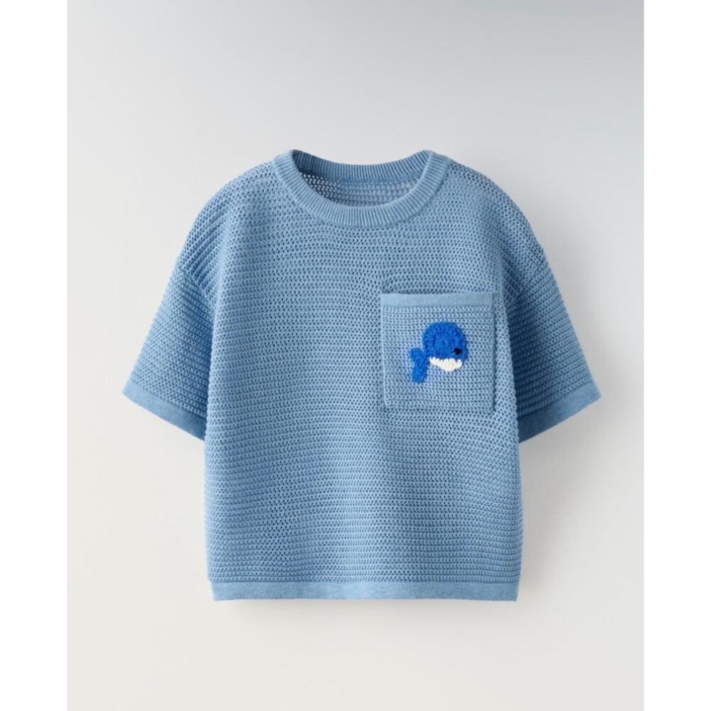 Zara Fish Crochet Top